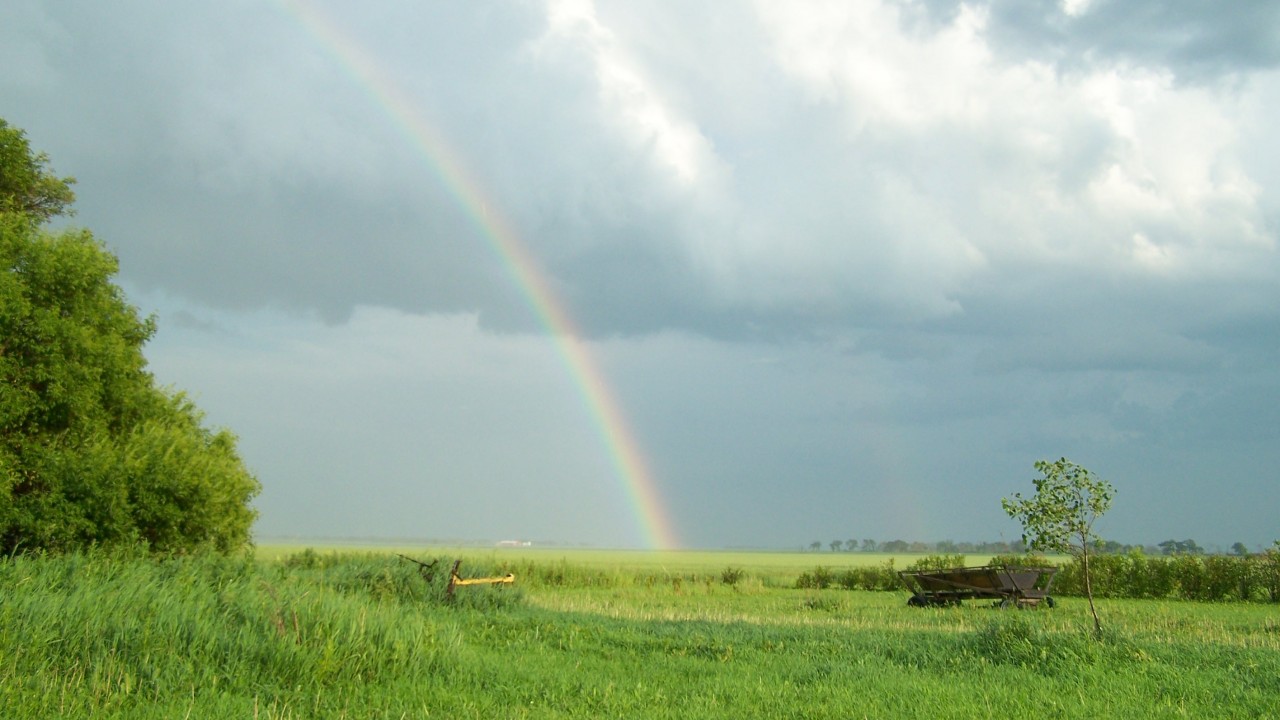 Past Successes, Future Hope