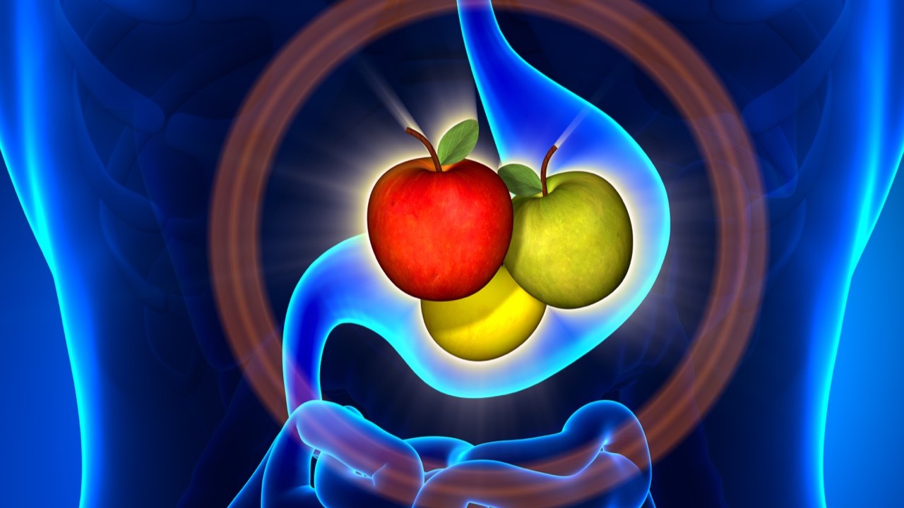 Signs Symptoms Of Food Sensitivities Dynamic Choices